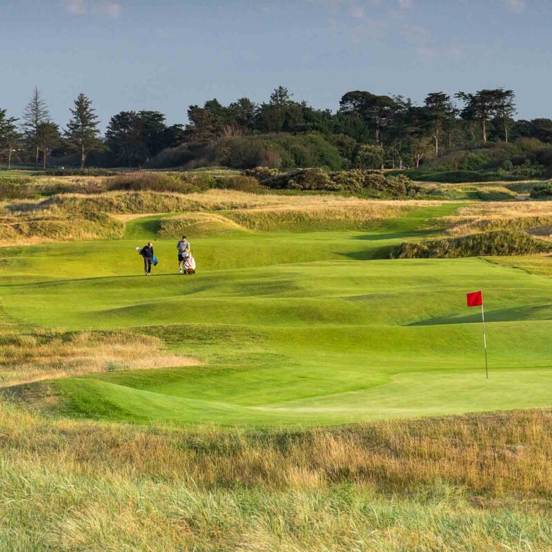 The Old Course - Rosslare